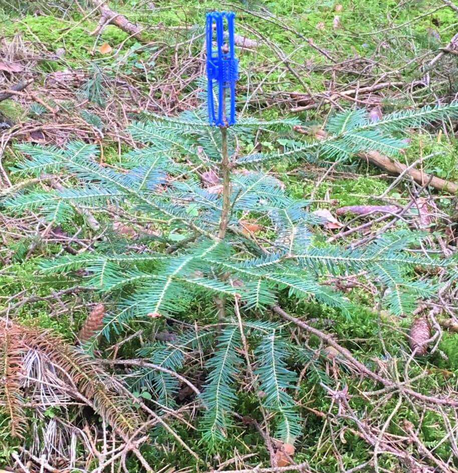 Produkte für den Wald Forstarbeiten Cham